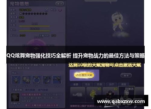 QQ炫舞宠物强化技巧全解析 提升宠物战力的最佳方法与策略